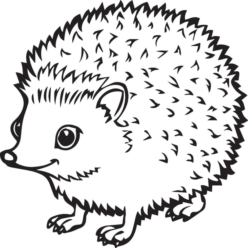 Igel Färbung Seiten. Igel Gliederung Vektor