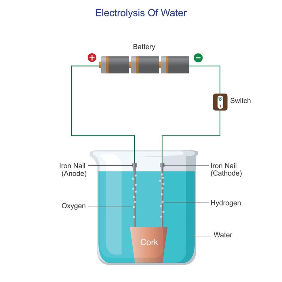 enkel experimentera av elektrolys av vatten. vatten bryts ner på elektroder frisättande väte och syre gaser. vetenskap illustration. vektor