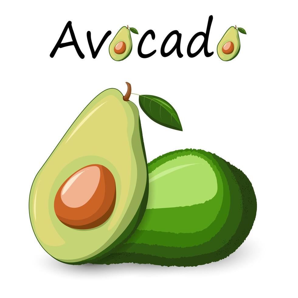 Avocado ganze und Hälfte. Text Avocado. gesund Gemüse und Vegetarier Lebensmittel. frisch organisch Essen, gesund Essen. gemacht im Karikatur eben Stil vektor