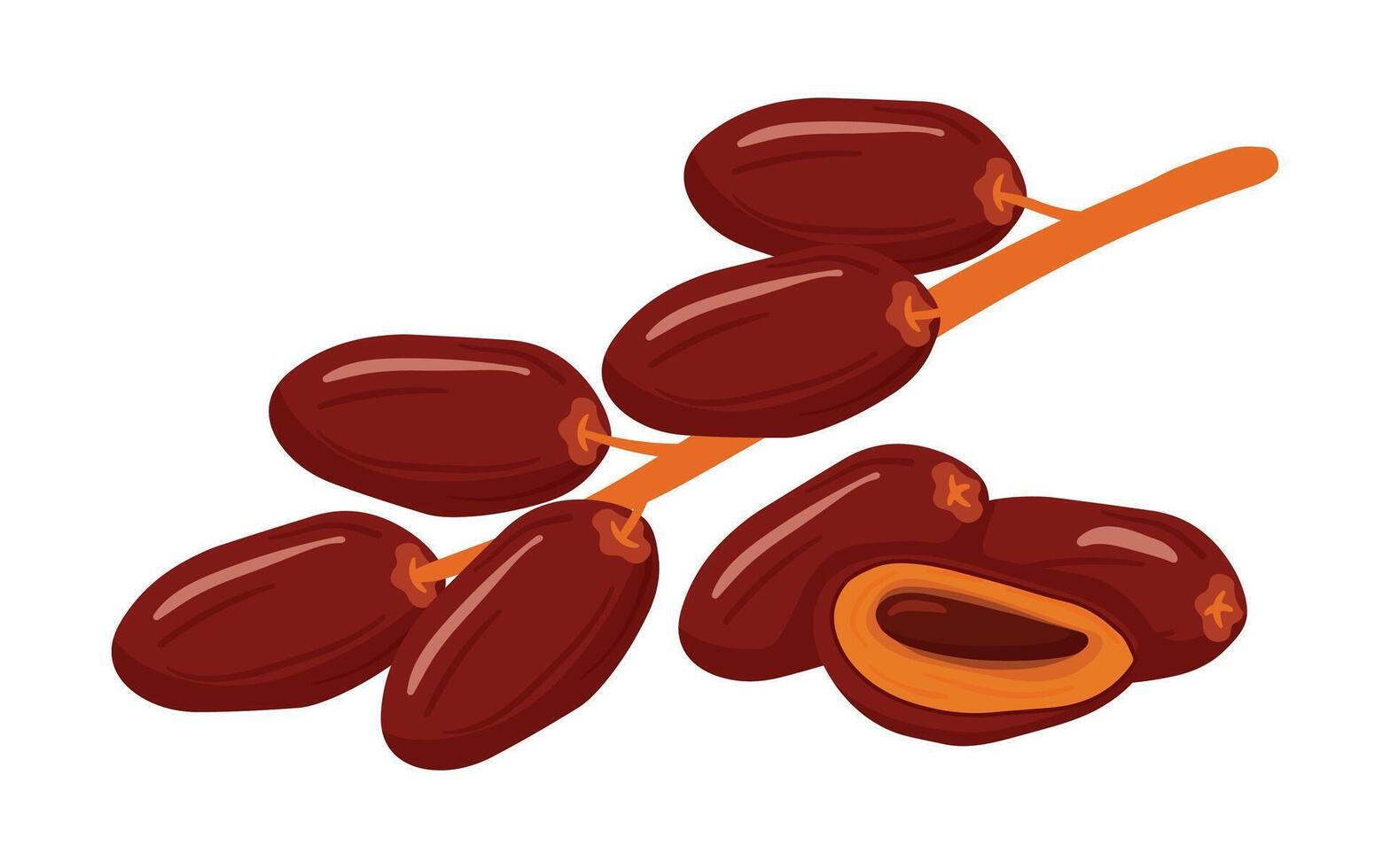gren av datum frukt i platt teckning ramadan mat vektor illustration