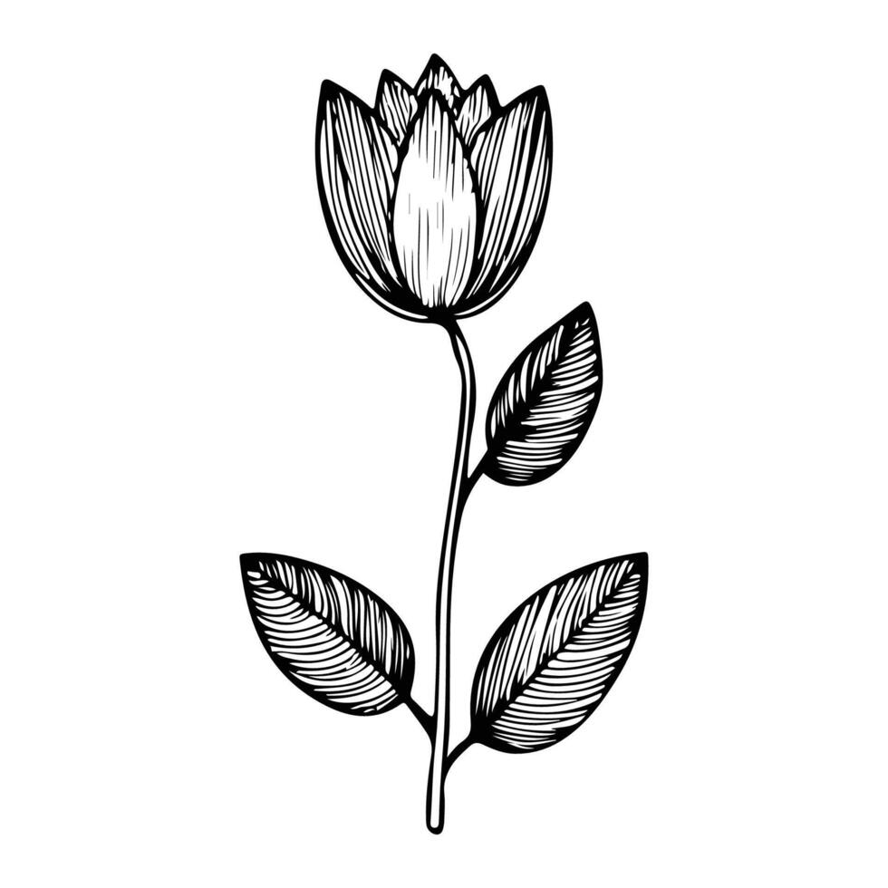 hand dragen blomma svart översikt vektor isolerat på vit bakgrund.