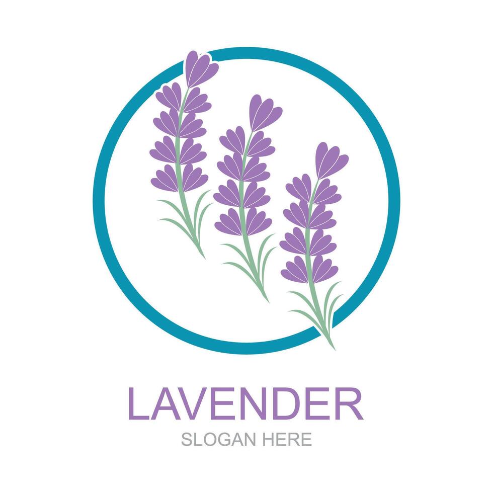 Lavendel Logo Vorlage Vektor Symbol Natur