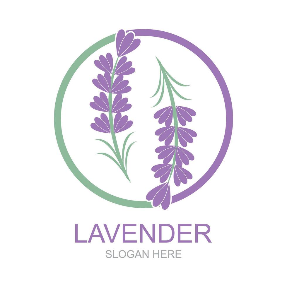 Lavendel Logo Vorlage Vektor Symbol Natur