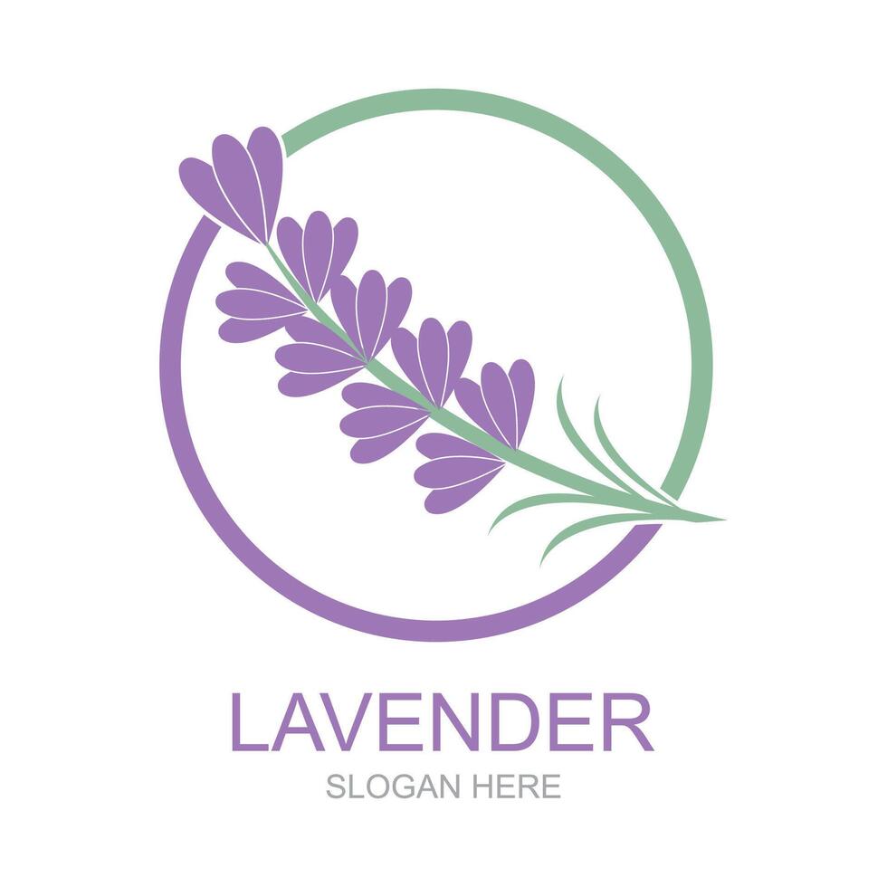 Lavendel Logo Vorlage Vektor Symbol Natur