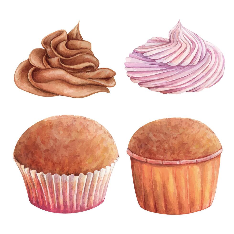 muffin muffin grädde vattenfärg teckning uppsättning choklad frukt i trevlig papper. kaka bageri gott efterrätt illustration. födelsedag firande bakverk akvarell bild isolerat på vit bakgrund vektor