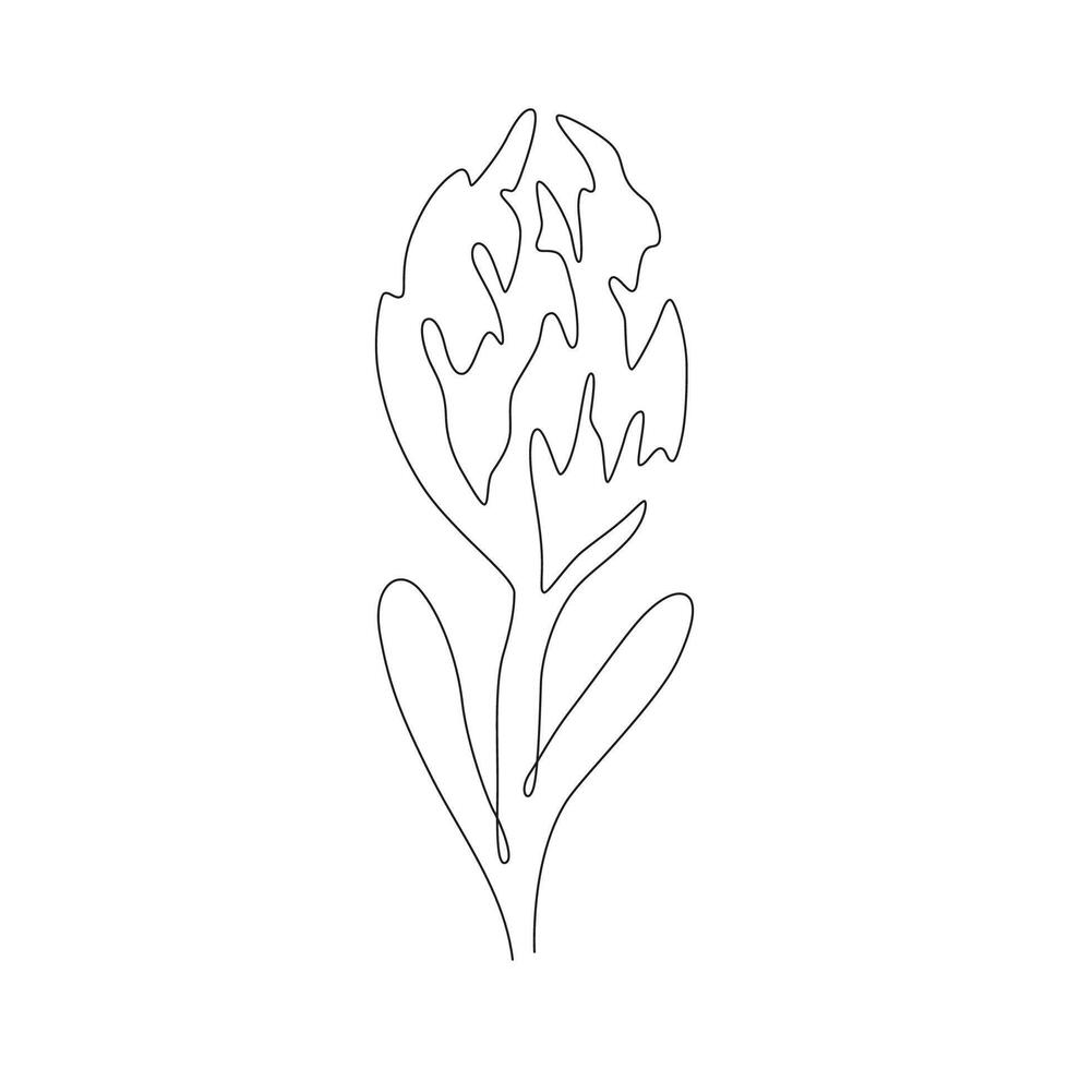 Protea Blume Linie Kunst vektor
