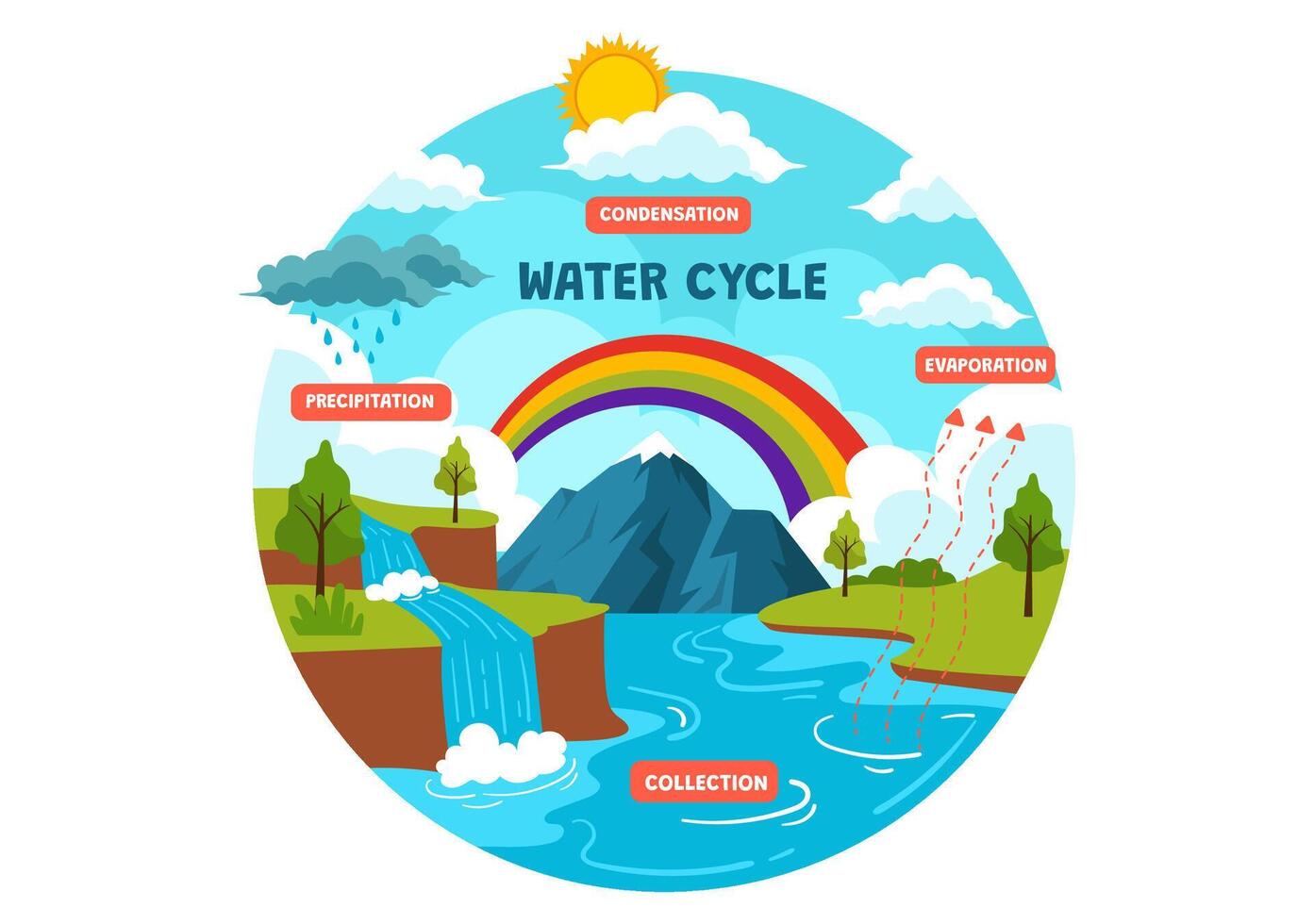 Wasser Zyklus Vektor Illustration mit Verdunstung, Kondensation, Niederschlag zu Sammlung im Erde natürlich Umgebung im eben Karikatur Hintergrund