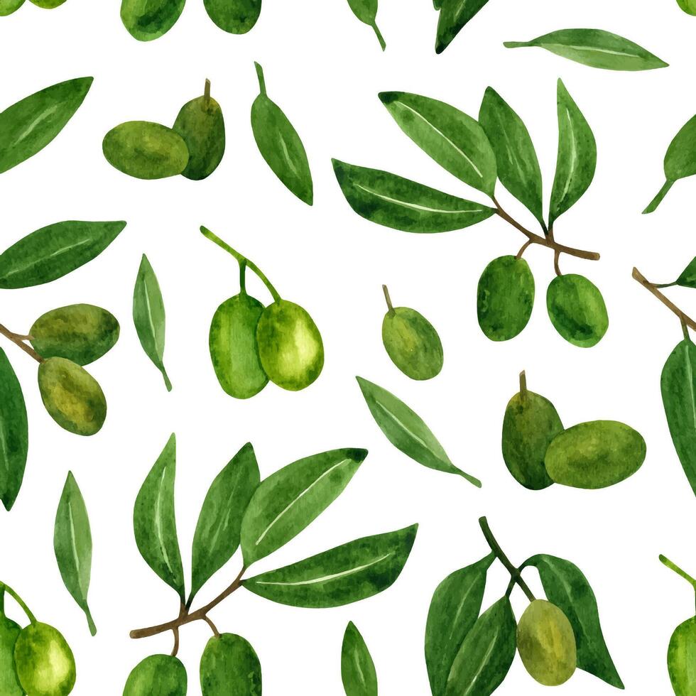 oliver sömlös mönster med oliv grenar och frukt för italiensk kök design eller mat med olja vektor