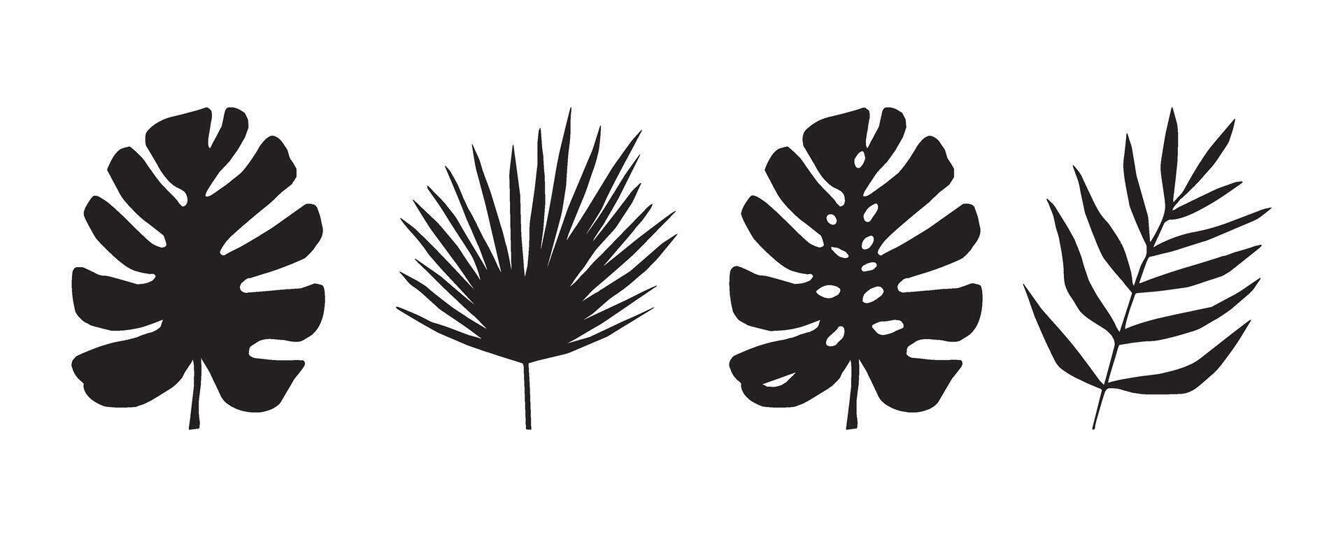 einstellen von schwarz und Weiß Silhouetten von tropisch Blätter. Vektor botanisch Illustrationen, Blumen- Elemente, Monstera, Palme Blätter. Hand gezeichnet Pflanze zum Dekoration.