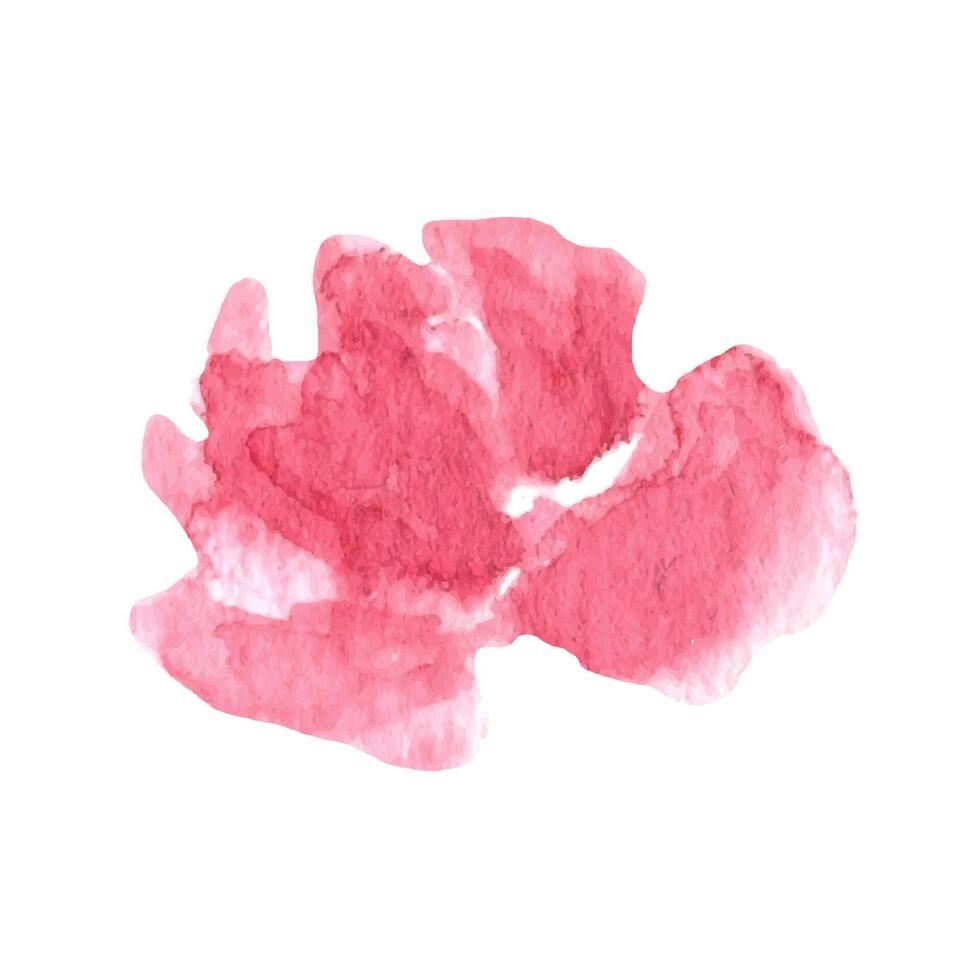 lösa vattenfärg rosa rosor. blommig illustration vektor