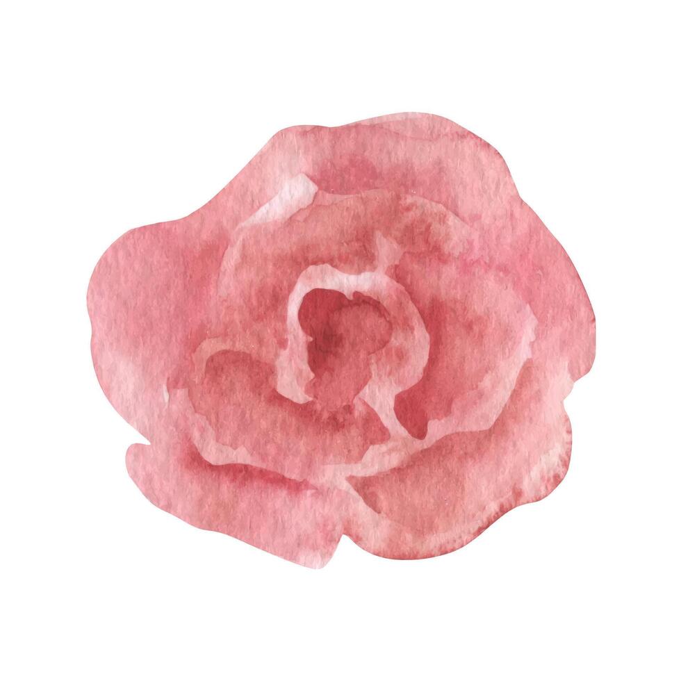 lösa vattenfärg rosor, boho ClipArt blommor. blommig bröllop illustration vektor