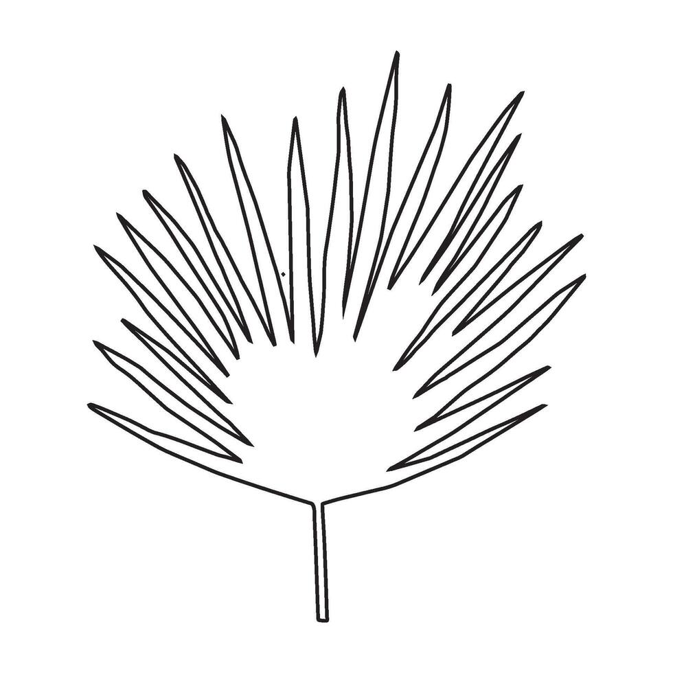 svart och vit silhuetter av tropisk blad, handflatan blad. vektor botanisk illustrationer, blommig element. hand dragen växt för dekoration.