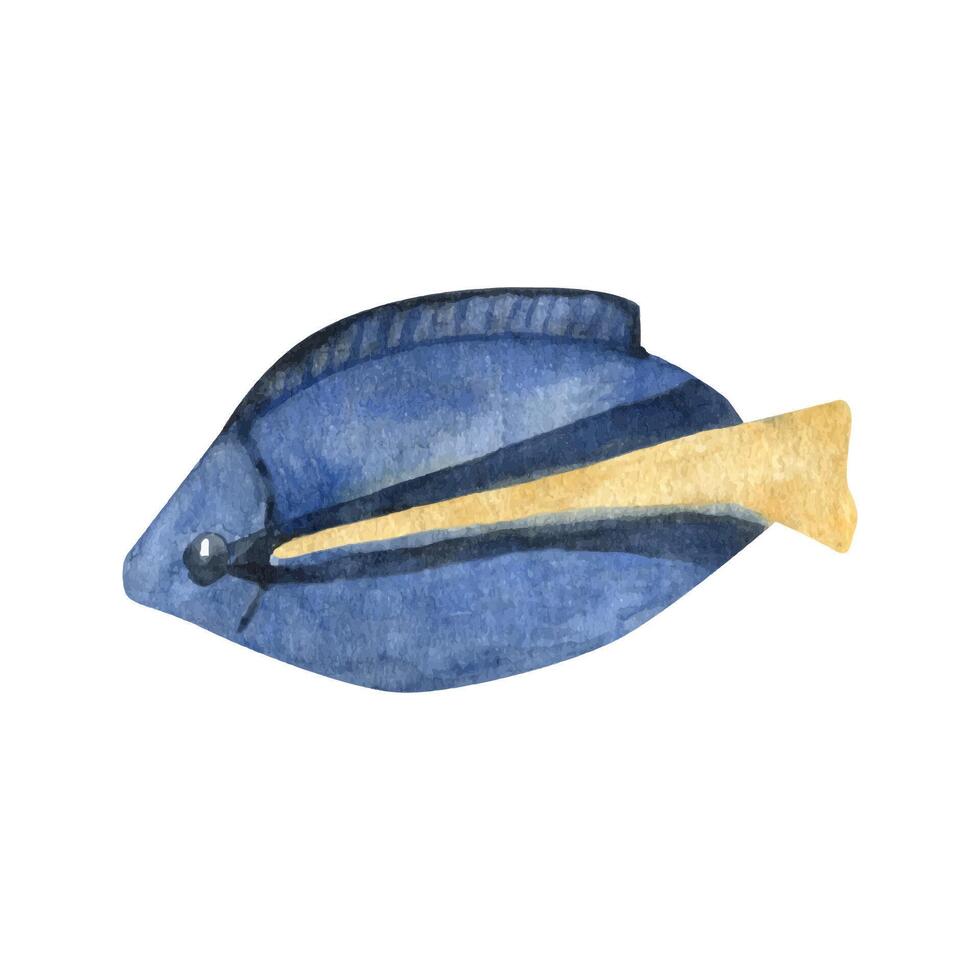 süß tropisch Fisch, Sommer- Clip Art. Hand gezeichnet Aquarell Illustration vektor