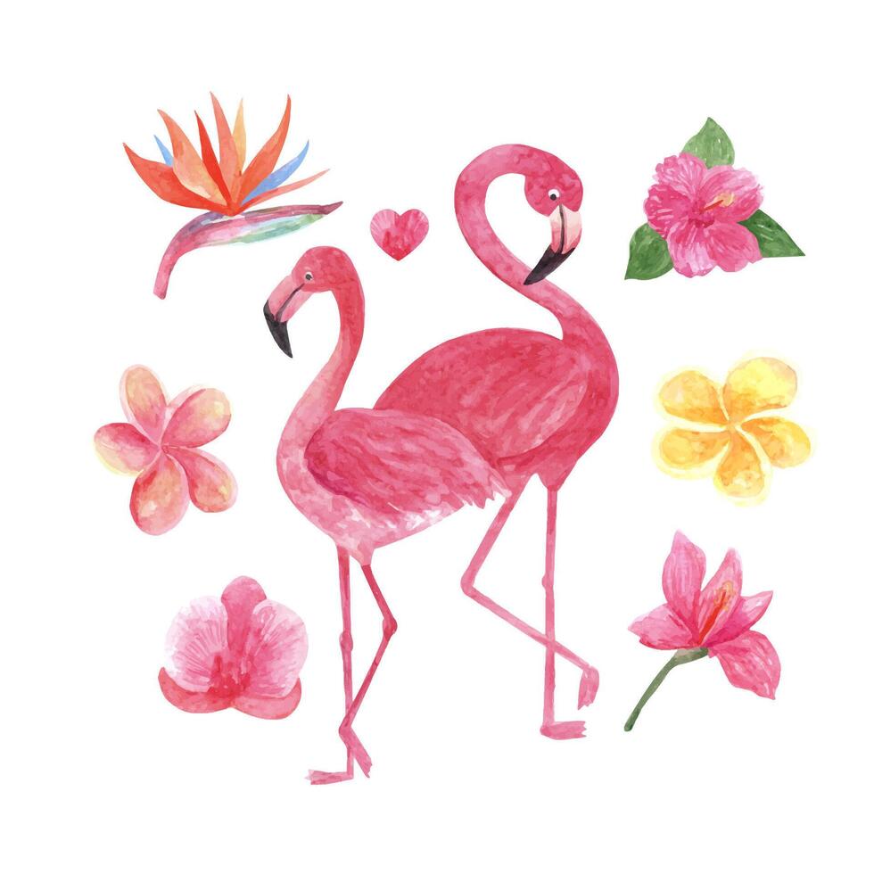 tropisk uppsättning med vattenfärg flamingo. skön hand dragen illustrationer vektor