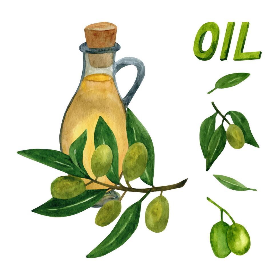 oliver uppsättning med oliv grenar och frukt för italiensk kök design eller extra jungfrulig olja mat eller kosmetisk produkt förpackning omslag. hand dragen illustration i vattenfärg. vektor