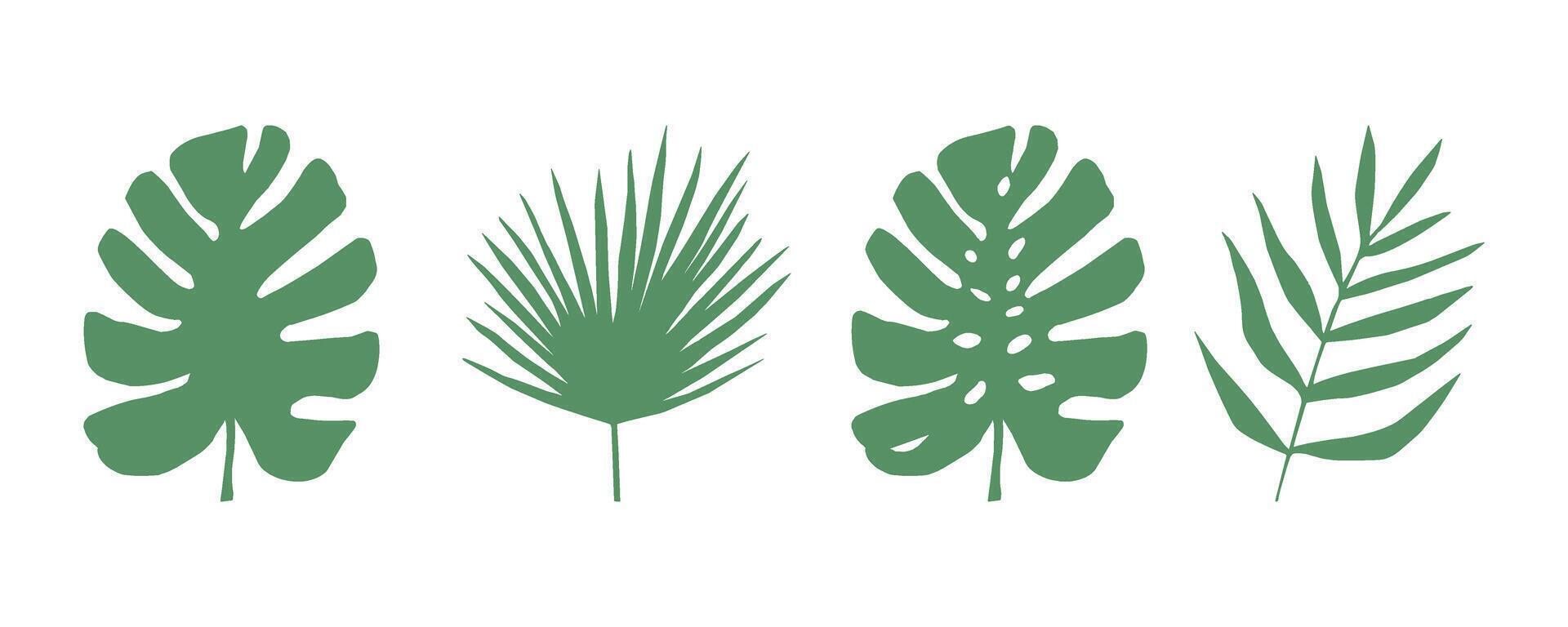 uppsättning av svart och vit silhuetter av tropisk löv. vektor botanisk illustrationer, blommig element, monstera, handflatan löv. hand dragen växt för dekoration.