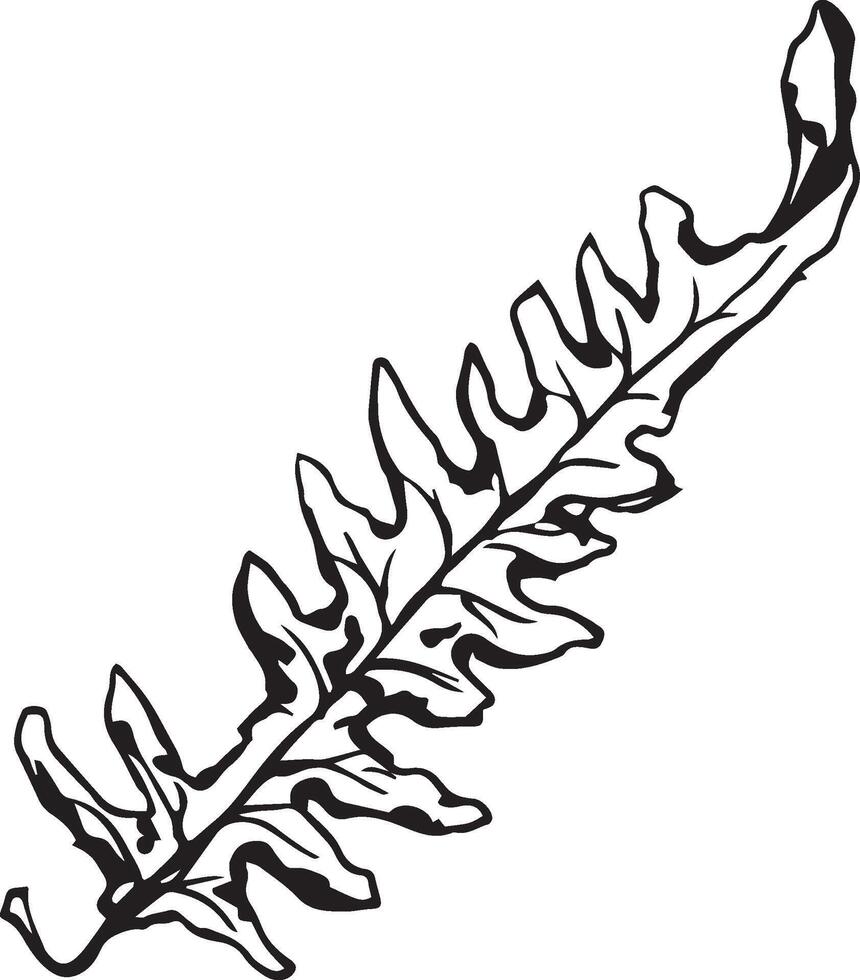 skiss teckning av en ormbunke i svart och vit översikt. årgång ormbunke, bra design för några syften. vektor