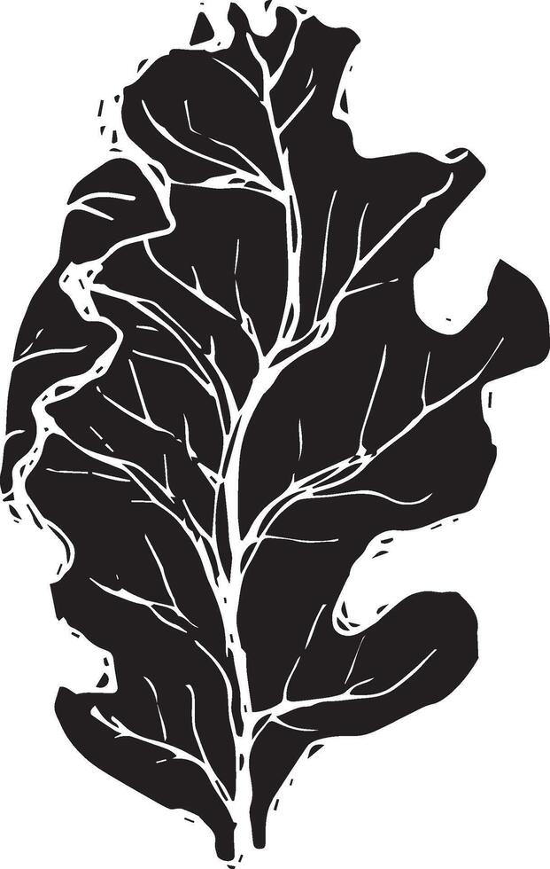skizzieren Zeichnung von ein Eiche Blatt im schwarz und Weiß Umriss. Jahrgang Eiche, großartig Design zum irgendein Zwecke. vektor