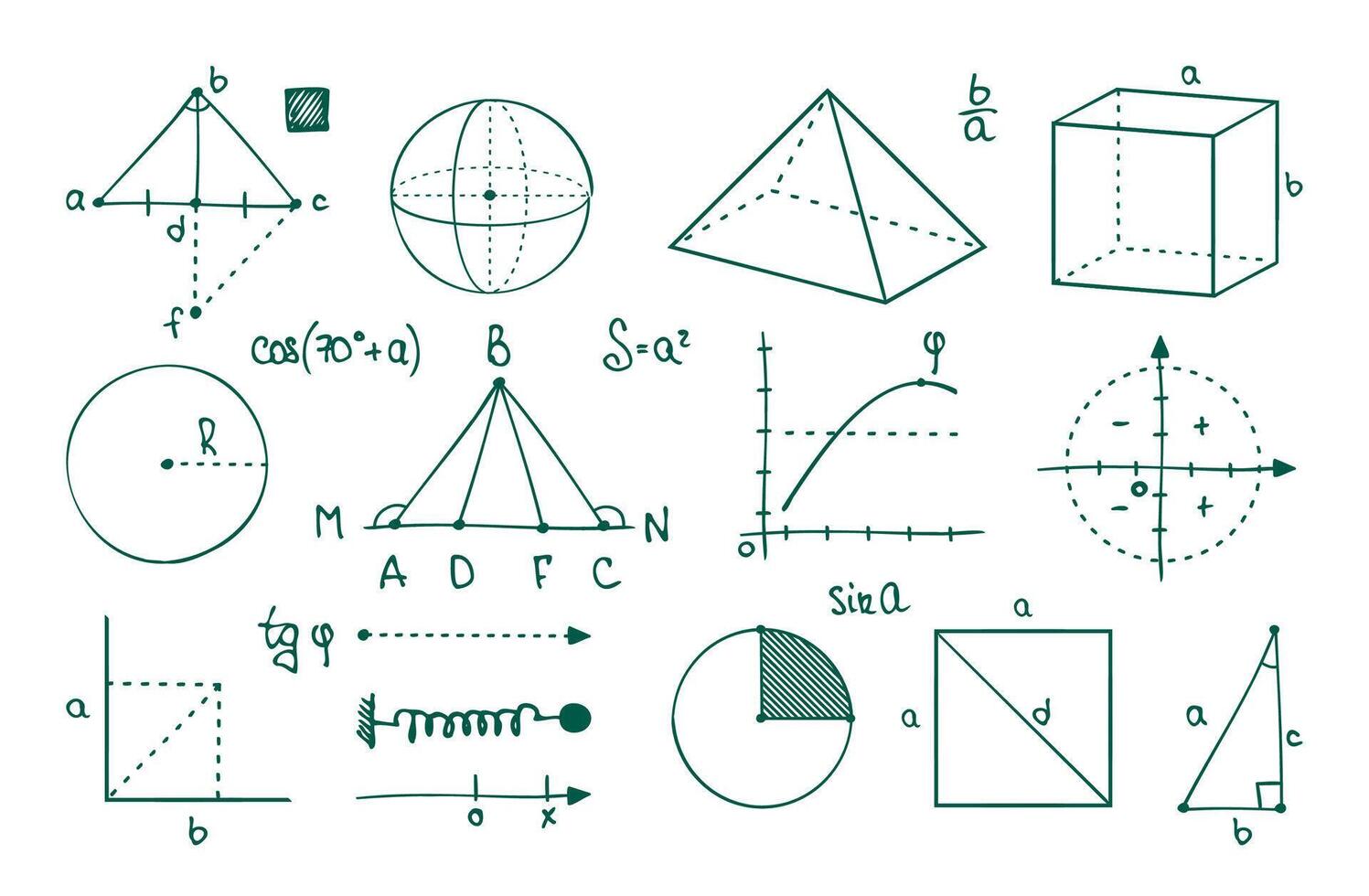 matematik grafer. paraboler, cosinus, sinus och tangent kurvor. geometrisk siffror och funktioner. vektor högskola algebraisk symboler