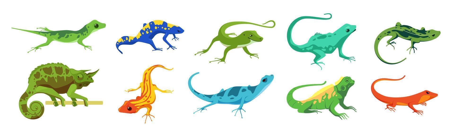 Chamäleon Eidechsen. süß Mexikaner Salamander Figuren, Zoo exotisch Reptil Zoo Tier zum Kinder Comic Design. Vektor bunt einstellen