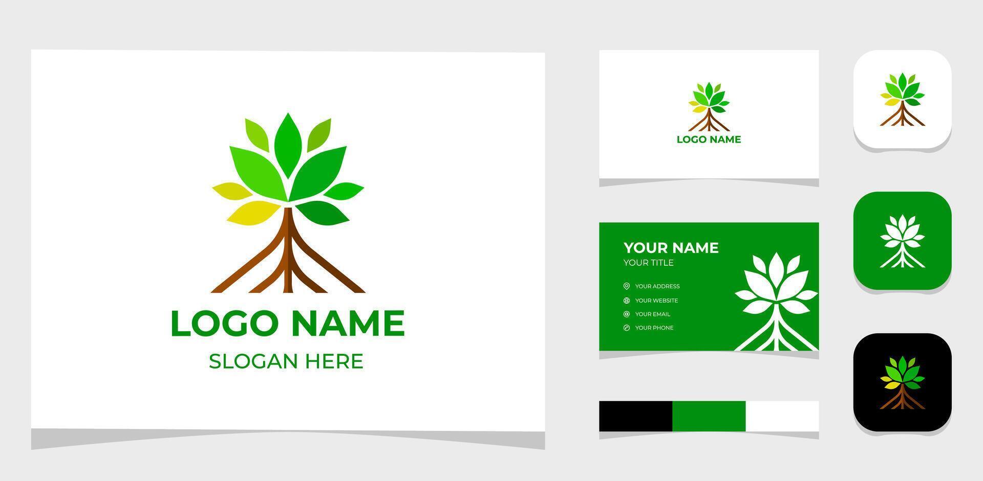 Vorlage Logo kreativ Mangrove Baum, Wurzel Mangrove und Pavillon gestalten Konzept. kreativ Vorlage mit Farbe Palette, visuell Marke, Geschäft Karte und Symbol. vektor