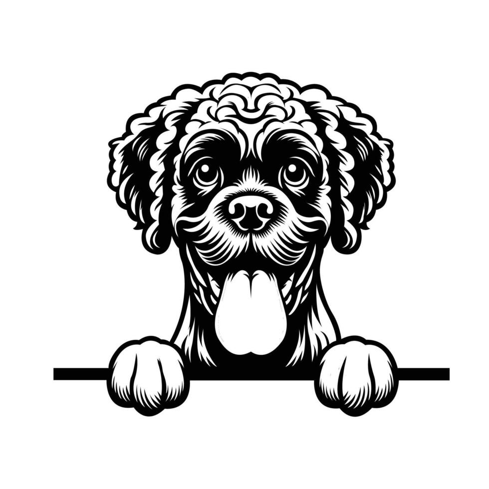 ai generiert schwarz und Weiß Boxerdoodle Hund spähen Gesicht Silhouette Illustration vektor