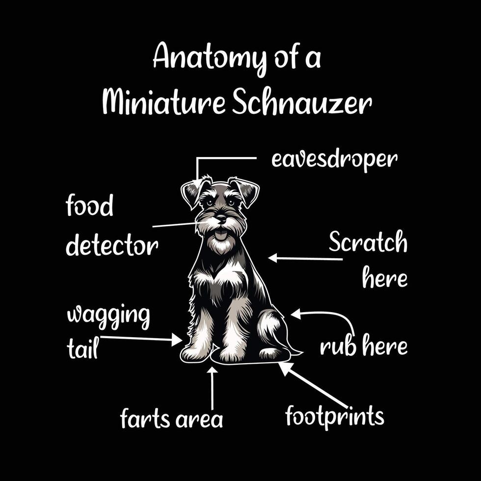 anatomi av en miniatyr- schnauzer typografi t skjorta design illustration proffs vektor