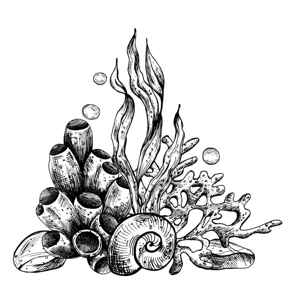 unter Wasser Welt Clip Art mit Meer Tiere, Muscheln, Koralle, Schwamm und Algen. Grafik Illustration Hand gezeichnet im schwarz Tinte. Komposition eps Vektor. vektor