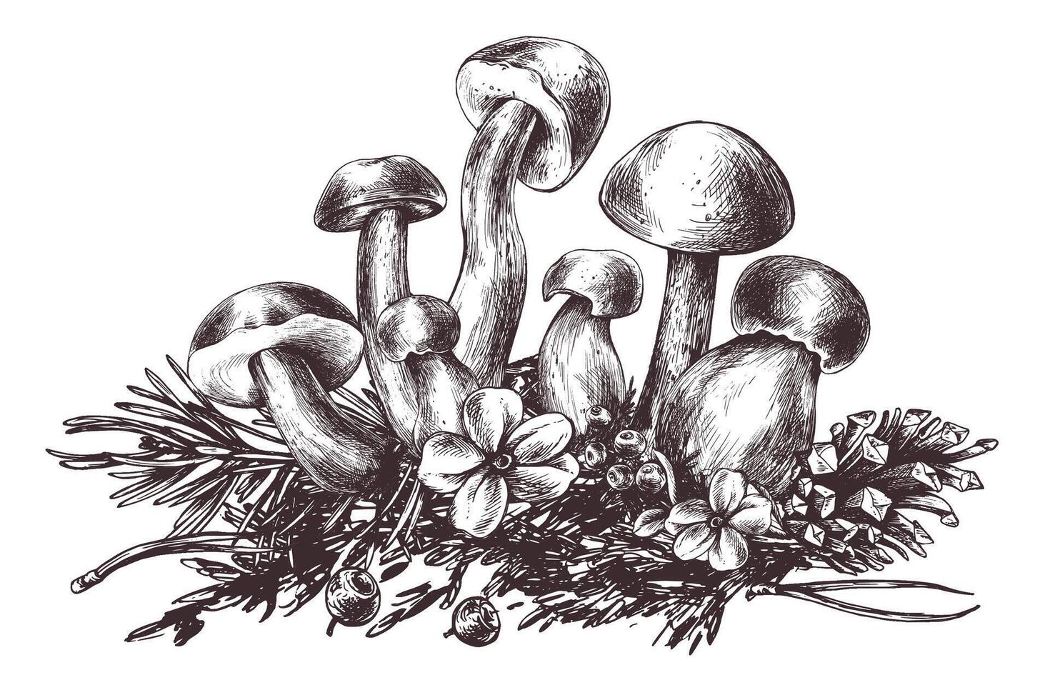 Pilze Wald Steinpilz mit Gras, Blaubeeren, Moos und Kegel. Grafik botanisch Illustration Hand gezeichnet im braun Tinte. zum Rezepte, Verpackung, Herbst Festival, Ernte. isoliert Komposition vektor