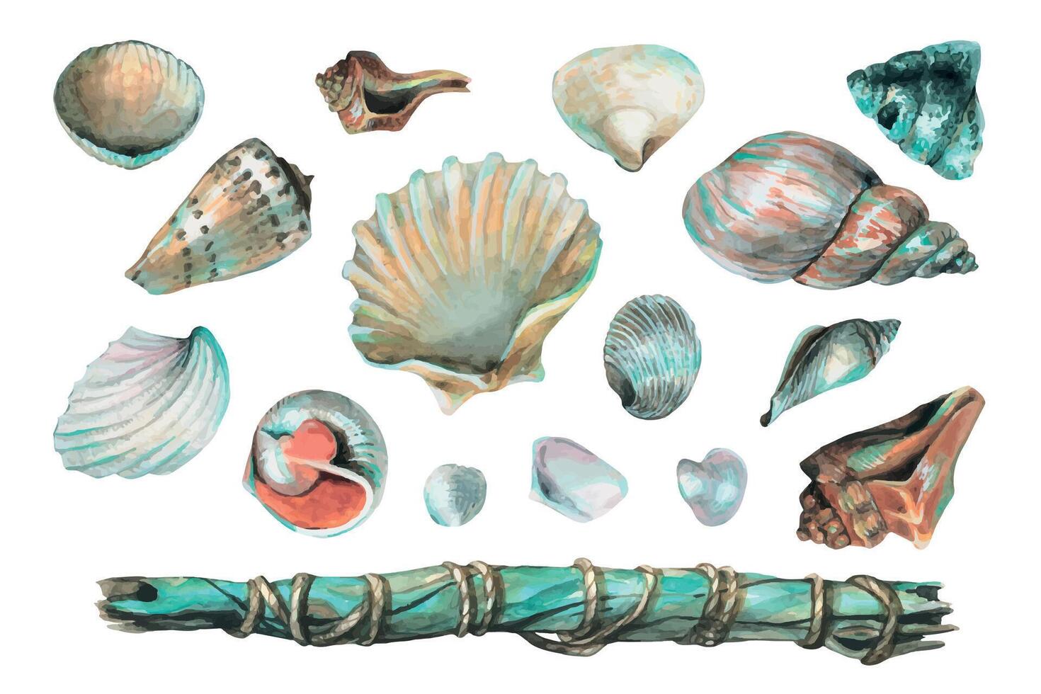 Aquarell Illustration von verschiedene Muscheln und hölzern Stock. ein Menge von Muscheln zum Innere Dekoration, das Strand. zum das Dekoration und Design von Postkarten, Poster, Kleidung, Zuhause Dekor. vektor