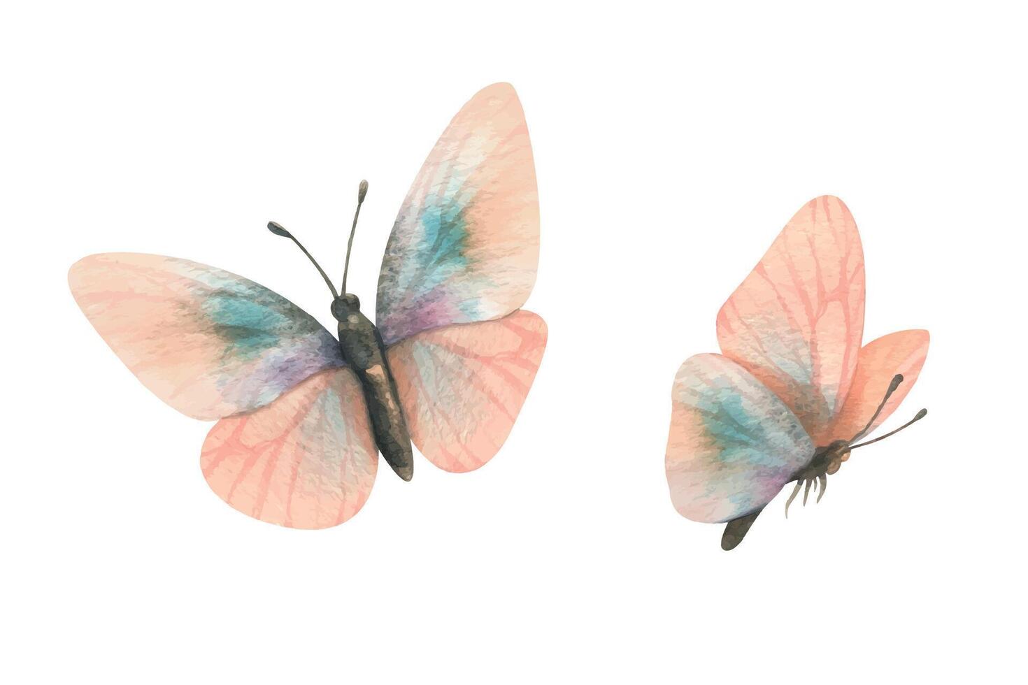 empfindlich, Licht fliegend Schmetterlinge oben und Seite Aussicht im Pfirsich Flaum Farbe mit das Zusatz von Türkis. Hand gezeichnet Aquarell Illustration. einstellen von Elemente isoliert von Hintergrund. vektor