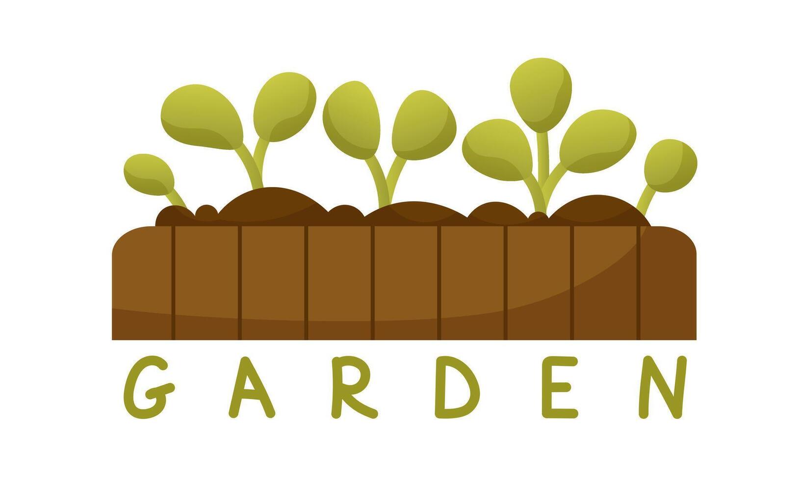 sprießen gewachsen von Samen. Grün Sämlinge, Setzling, sprießen von Gemüse, Früchte im ein hölzern Kasten. Banner auf das Thema von Gemüse Garten. Frühling Gartenarbeit. das Anfang von das Gartenarbeit Jahreszeit. vektor