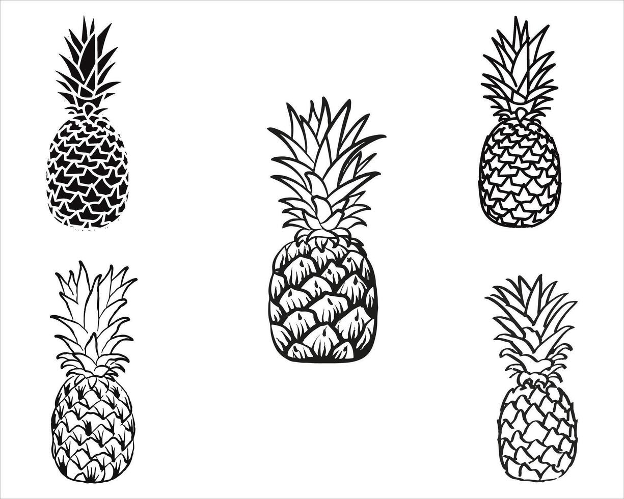 ananas skiss vektor illustration på vit bakgrund