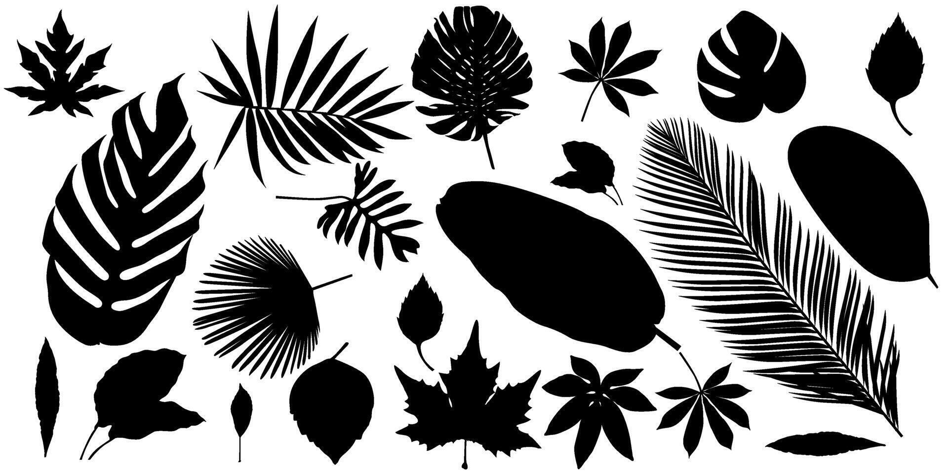 einstellen von abstrakt Laub Silhouette Elemente isoliert auf ein Weiß Hintergrund. Sammlung von Blatt Silhouetten, Banane Blätter, tropisch Blätter, Maniok Blätter, Papaya Blätter und Andere. vektor