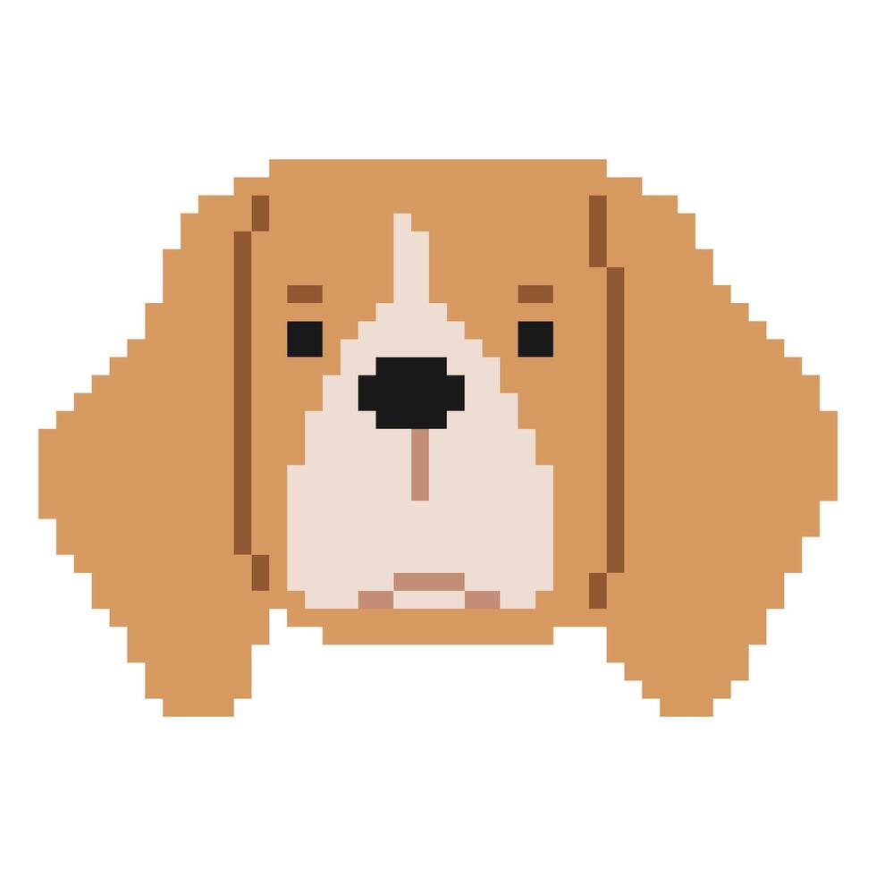 beagle huvud pixel 1 söt på en vit bakgrund, vektor illustration.