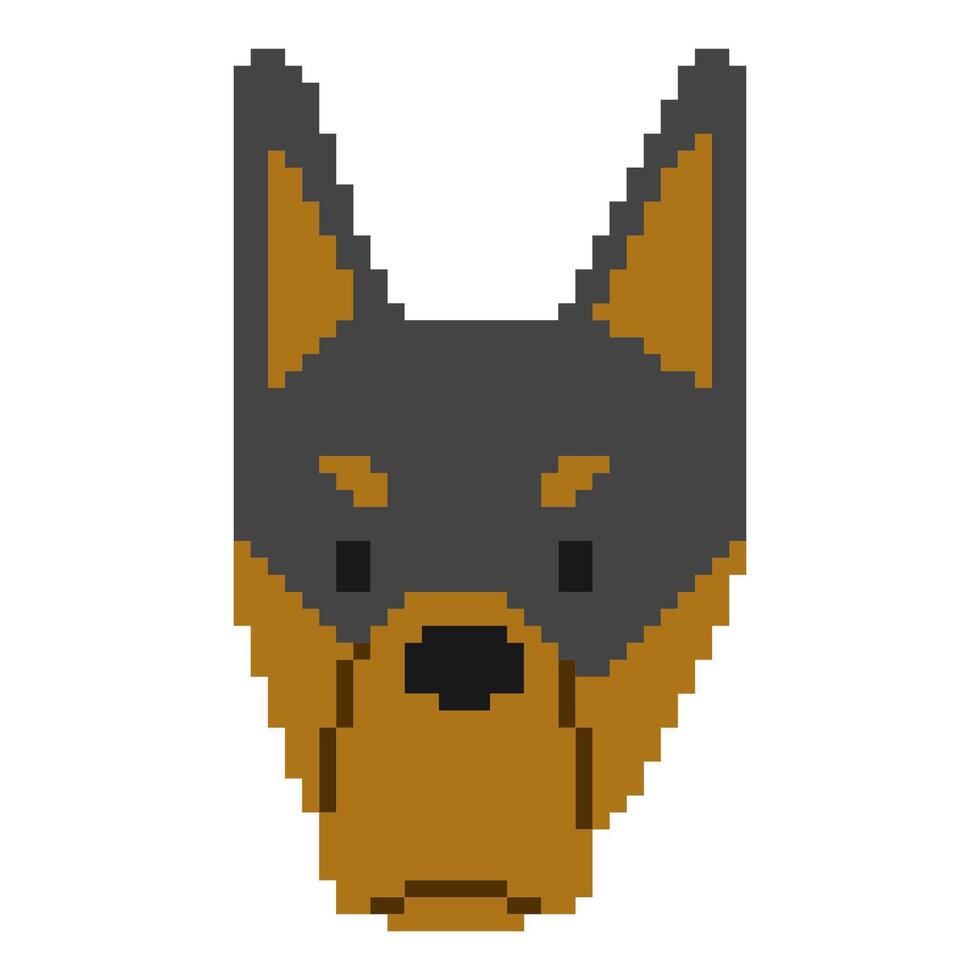 Dobermann Kopf Pixel 1süß auf ein Weiß Hintergrund, Vektor Illustration.