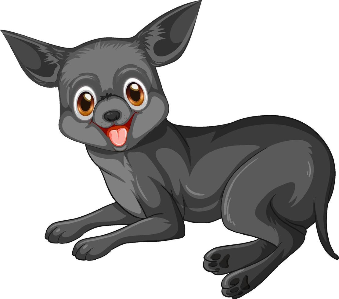 schwarzer Chihuahua-Hund-Cartoon auf weißem Hintergrund vektor