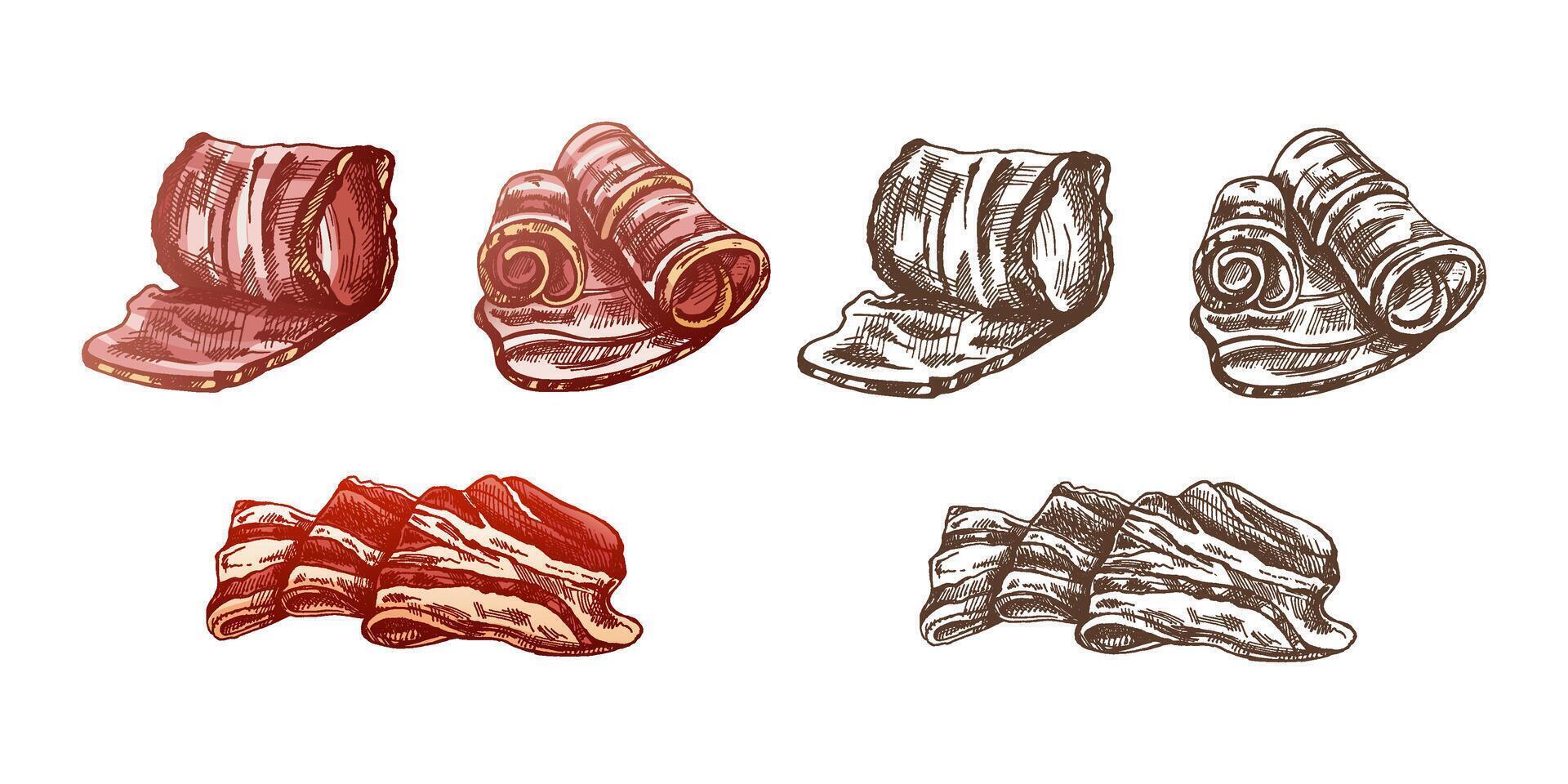 ritad för hand färgad och svartvit vektor skiss uppsättning av bacon, hamon eller fläsk kött, skinka skivor. italiensk skinka årgång skiss. slaktare affär. bra för märka, restaurang meny. graverat bild.