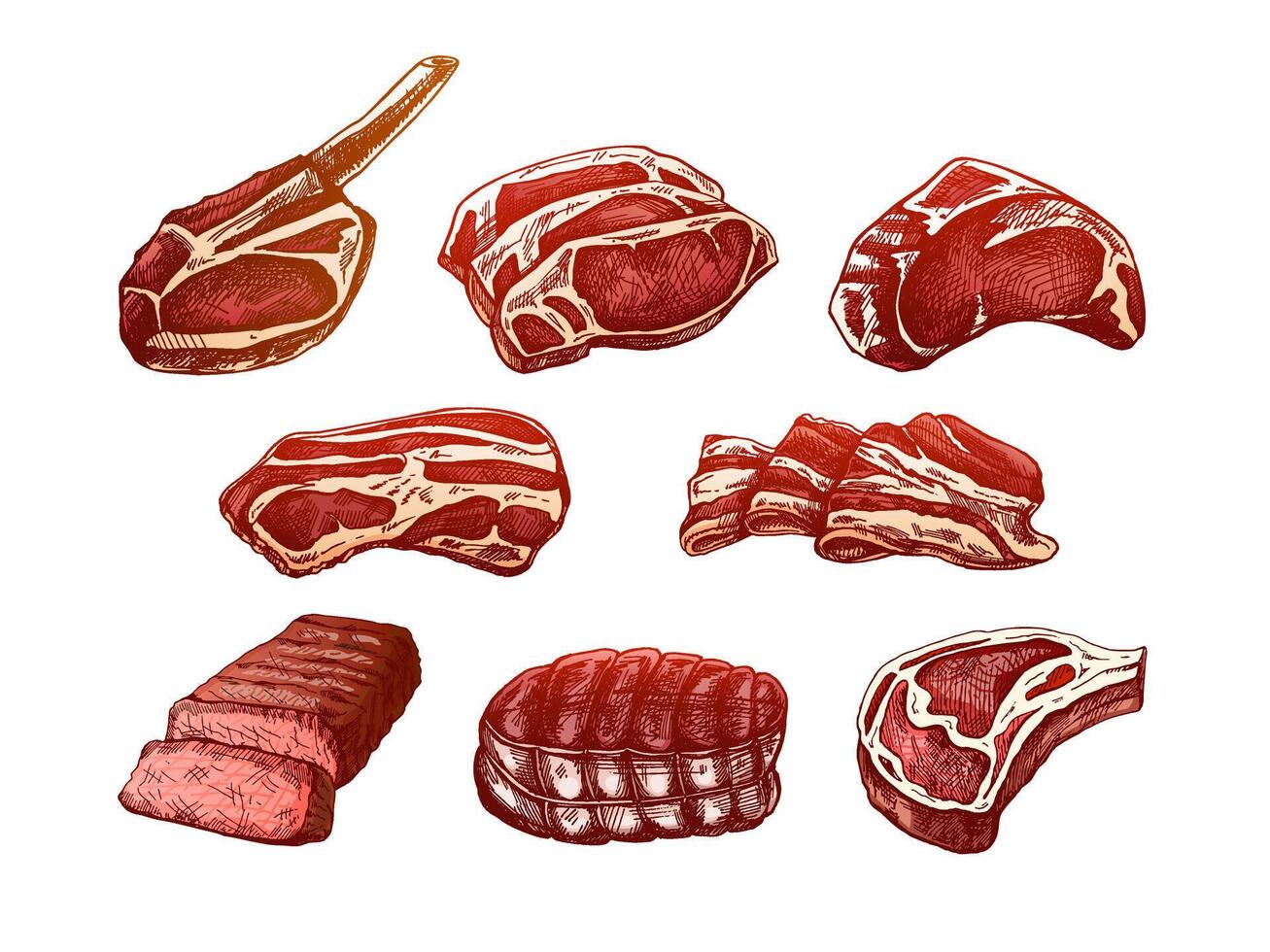 einstellen von handgemalt farbig Skizzen von Fleisch Stücke, Rindfleisch Steak, Schinken, Schweinefleisch. frisch roh Fleisch Produkte. zum das Design von Speisekarte, Metzger Geschäft. Jahrgang graviert Illustration. vektor