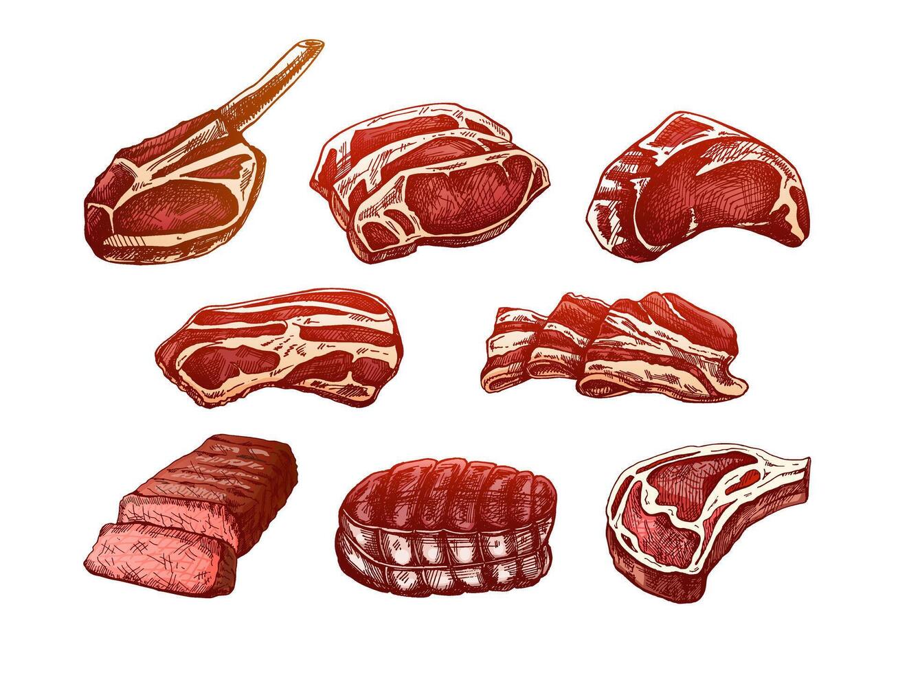 uppsättning av ritad för hand färgad skisser av kött bitar, nötkött biff, skinka, fläsk. färsk rå kött Produkter. för de design av meny, slaktare affär. årgång graverat illustration. vektor