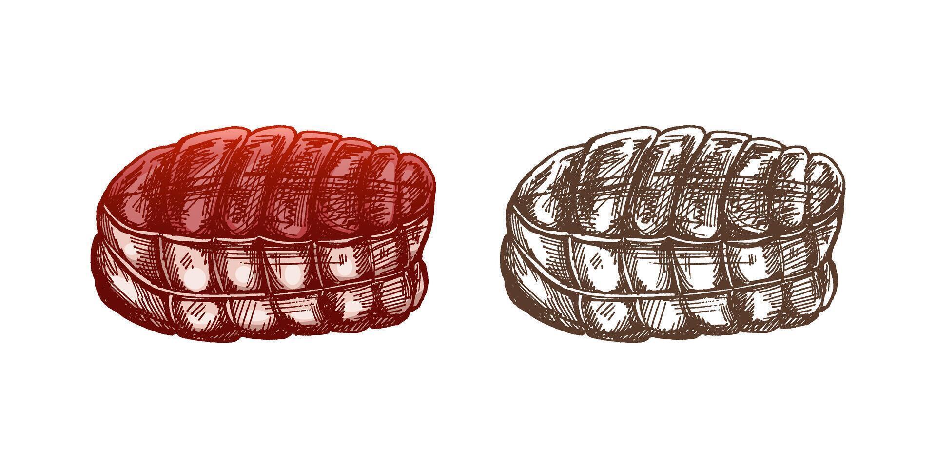 ritad för hand färgad och svartvit skiss av fläsk, bunden med tågvirke, en traditionell maträtt, dvs av kött. klotter årgång illustration. dekorationer för de meny och etiketter. graverat bild. vektor