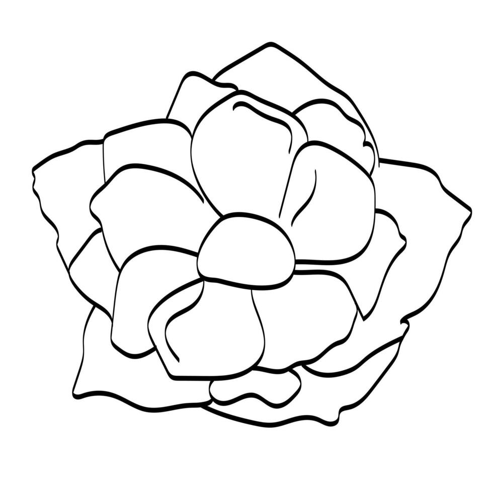 linje teckning stil blomma, blomma klotter, blomma ClipArt, svart linjär skiss isolerat på vit bakgrund, vektor illustration