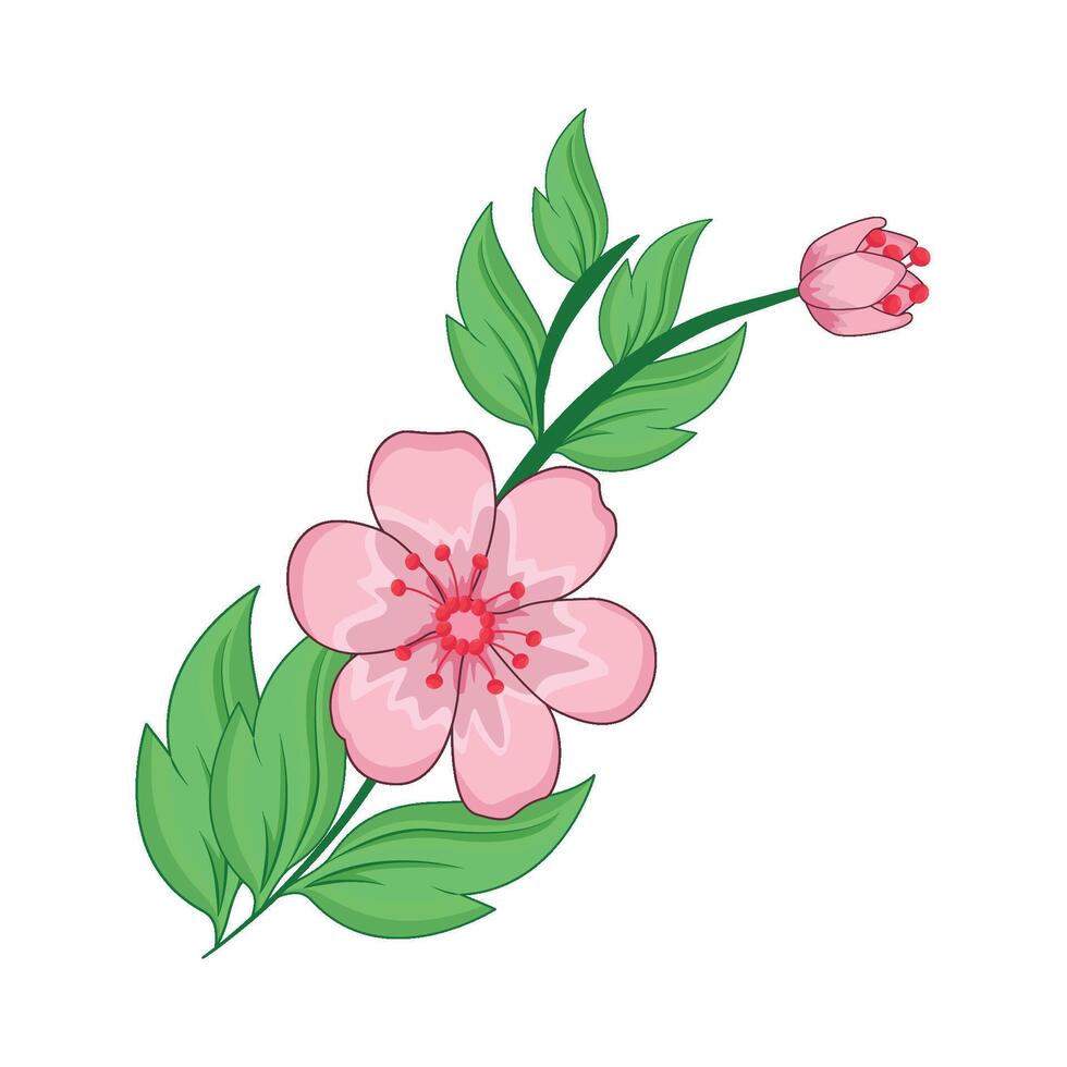 illustration av körsbär blomma vektor