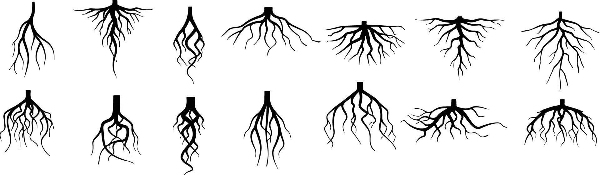 träd rötter silhuett ikon vektor uppsättning. pålrot och fibrös rot system av olika växter, realistisk svart rötter illustrationer.