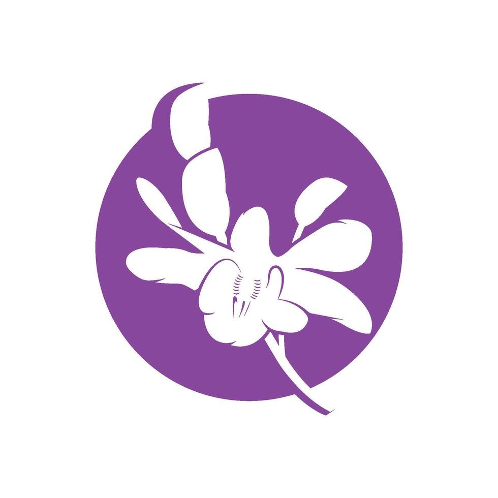 Orchidee Vektor Blume isoliert auf Weiß Hintergrund