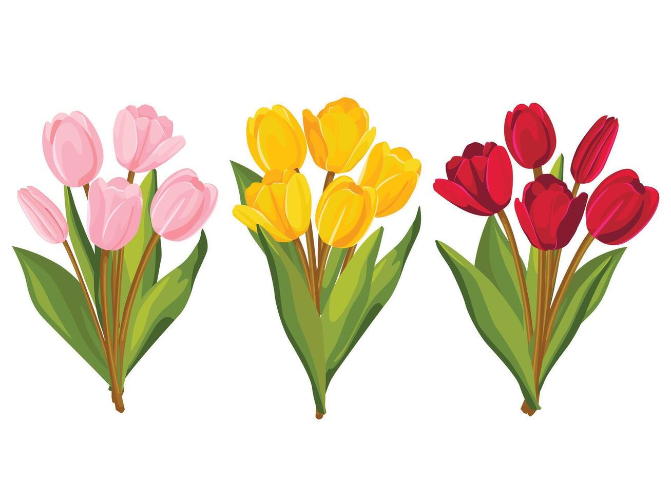 einstellen von bunt Strauß von Tulpen. Vektor Illustration.