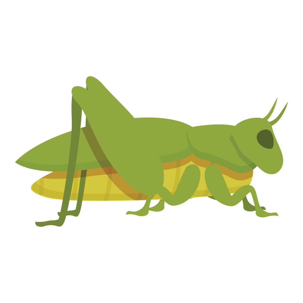 grön gräshoppa ikon tecknad serie vektor. natur insekt vektor