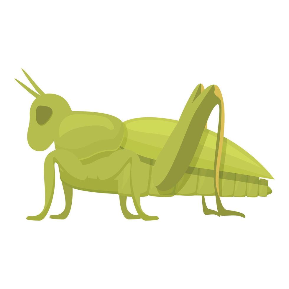 myra gräshoppa ikon tecknad serie vektor. hoppa små vektor