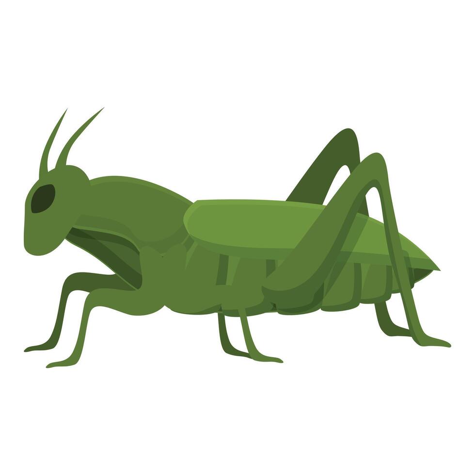 rolig gräshoppa ikon tecknad serie vektor. maskot flyga insekt vektor