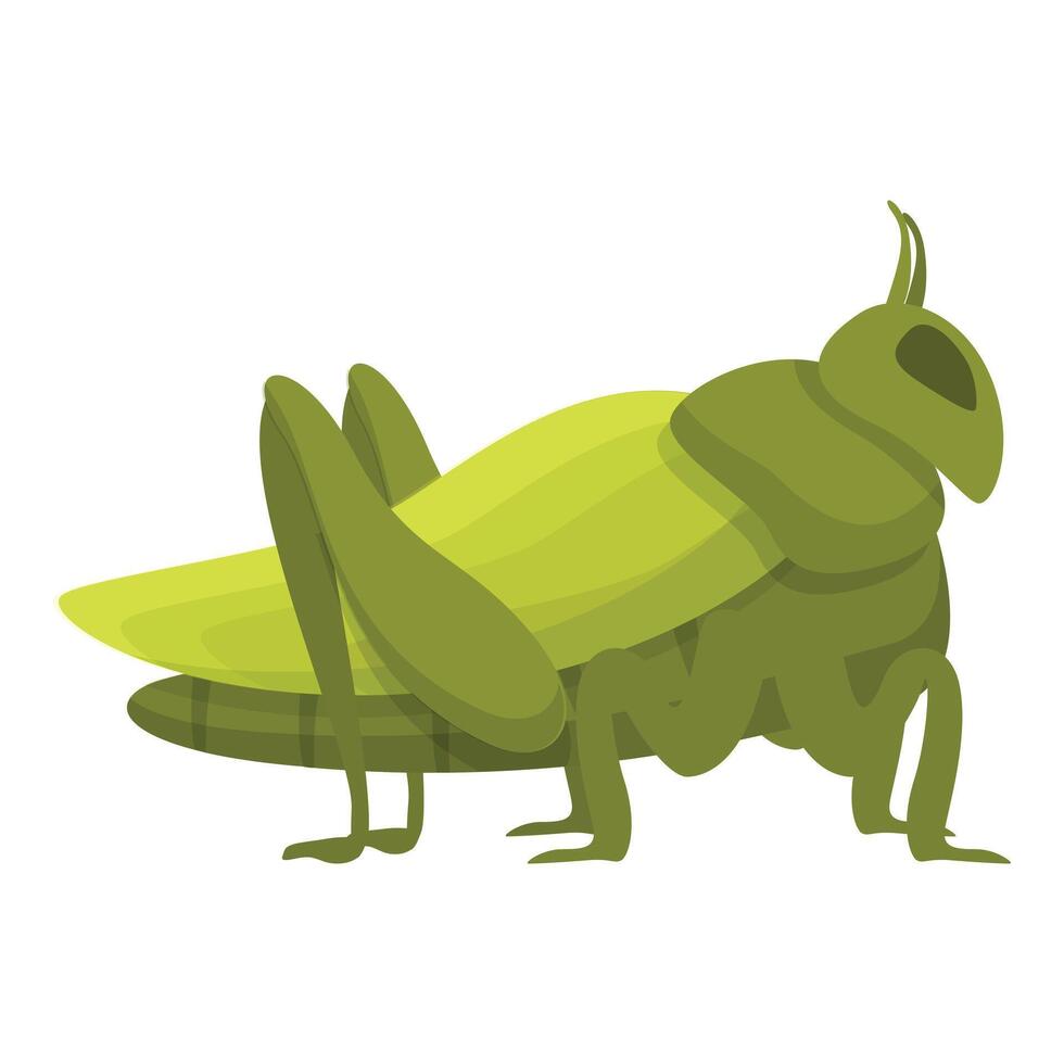 gräshoppa ikon tecknad serie vektor. natur cricket vektor